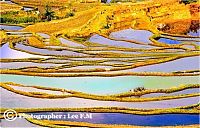 World & Travel: paddy fields, rice terraces