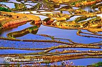 TopRq.com search results: paddy fields, rice terraces