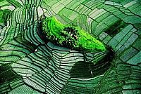 World & Travel: paddy fields, rice terraces