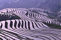 TopRq.com search results: paddy fields, rice terraces