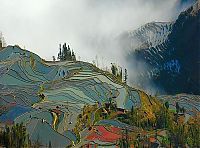 World & Travel: paddy fields, rice terraces