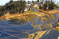 World & Travel: paddy fields, rice terraces