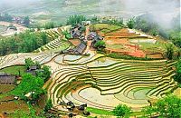 TopRq.com search results: paddy fields, rice terraces