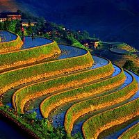 World & Travel: paddy fields, rice terraces