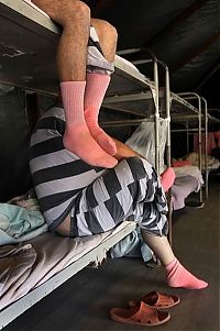 TopRq.com search results: Tent City of Maricopa County jail, Arizona, United States