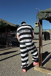 TopRq.com search results: Tent City of Maricopa County jail, Arizona, United States