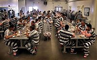 TopRq.com search results: Tent City of Maricopa County jail, Arizona, United States