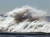 TopRq.com search results: Coast Guard on the giant waves