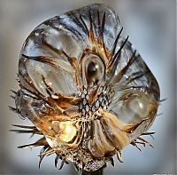 World & Travel: winter photography