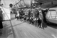 World & Travel: History: Black and white photos of New York City, United States