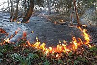 World & Travel: Kilauea volcano. Hawaiian Islands, United States