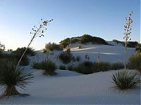 TopRq.com search results: White Sands National Monument, New Mexico, United States