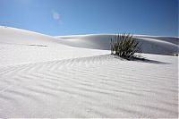 TopRq.com search results: White Sands National Monument, New Mexico, United States