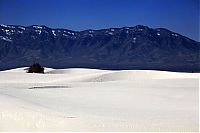 TopRq.com search results: White Sands National Monument, New Mexico, United States