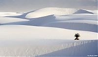 TopRq.com search results: White Sands National Monument, New Mexico, United States