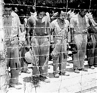 World & Travel: History: World War II photography