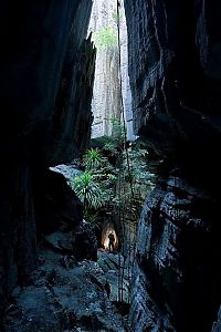 World & Travel: Tsingy de Bemaraha, Melaky Region, Madagascar