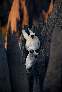 World & Travel: Tsingy de Bemaraha, Melaky Region, Madagascar