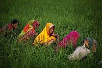 World & Travel: Life in India