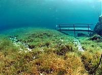 World & Travel: Grüner See, Tragöß, Austria