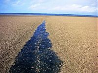 TopRq.com search results: Eruption of underwater volcano, Nuku'alofa, Tonga