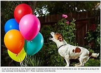 Guinness World Record 2011