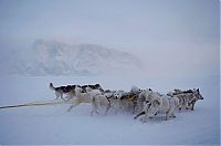 TopRq.com search results: Life in Greenland