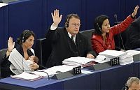 TopRq.com search results: Licia Ronzullil, member of european parliament