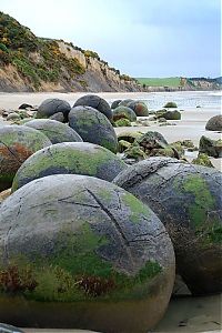 TopRq.com search results: Moeraki Boulders, Koekohe Beach, Otago coast, New Zealand