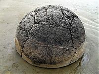 TopRq.com search results: Moeraki Boulders, Koekohe Beach, Otago coast, New Zealand