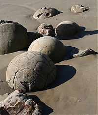 TopRq.com search results: Moeraki Boulders, Koekohe Beach, Otago coast, New Zealand