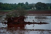 TopRq.com search results: Red sludge alumina factory reservoir pollutes villages, Hungary