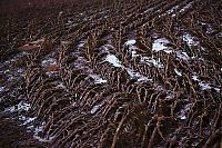 World & Travel: Red sludge alumina factory reservoir pollutes villages, Hungary