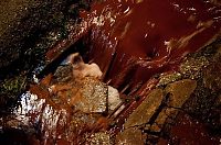 World & Travel: Red sludge alumina factory reservoir pollutes villages, Hungary