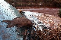 TopRq.com search results: Red sludge alumina factory reservoir pollutes villages, Hungary