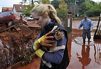 TopRq.com search results: Red sludge alumina factory reservoir pollutes villages, Hungary