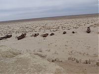 TopRq.com search results: The Aral Sea is almost gone