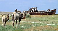 World & Travel: The Aral Sea is almost gone