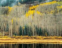 TopRq.com search results: American landscape by William Neill