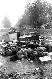 World & Travel: History: World War II photography, German Federal Archives, Germany