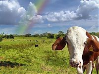 World & Travel: spectrum of rainbow light