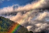TopRq.com search results: spectrum of rainbow light