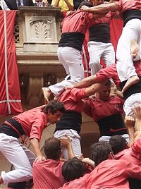 TopRq.com search results: Castell, human tower, Catalonia, Spain