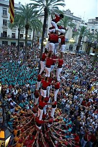 TopRq.com search results: Castell, human tower, Catalonia, Spain