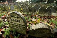 TopRq.com search results: Pet cemetery, Hyde Park, London