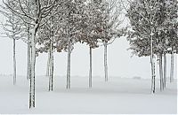 World & Travel: GERMANY-WEATHER-WINTER-SNOW