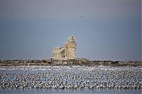 TopRq.com search results: Frozen lighthouse, Lake Erie, North America