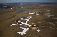 TopRq.com search results: Life of Siberian reindeer herders, Yamal, Russia.