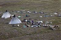 TopRq.com search results: Life of Siberian reindeer herders, Yamal, Russia.