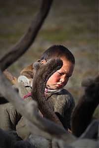 World & Travel: Life of Siberian reindeer herders, Yamal, Russia.